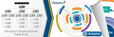 Organigrama circular de Deigma